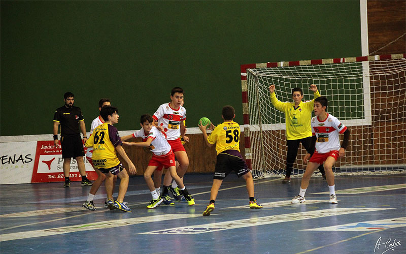 El Viveros Herol Bm Nava Partido Palencia