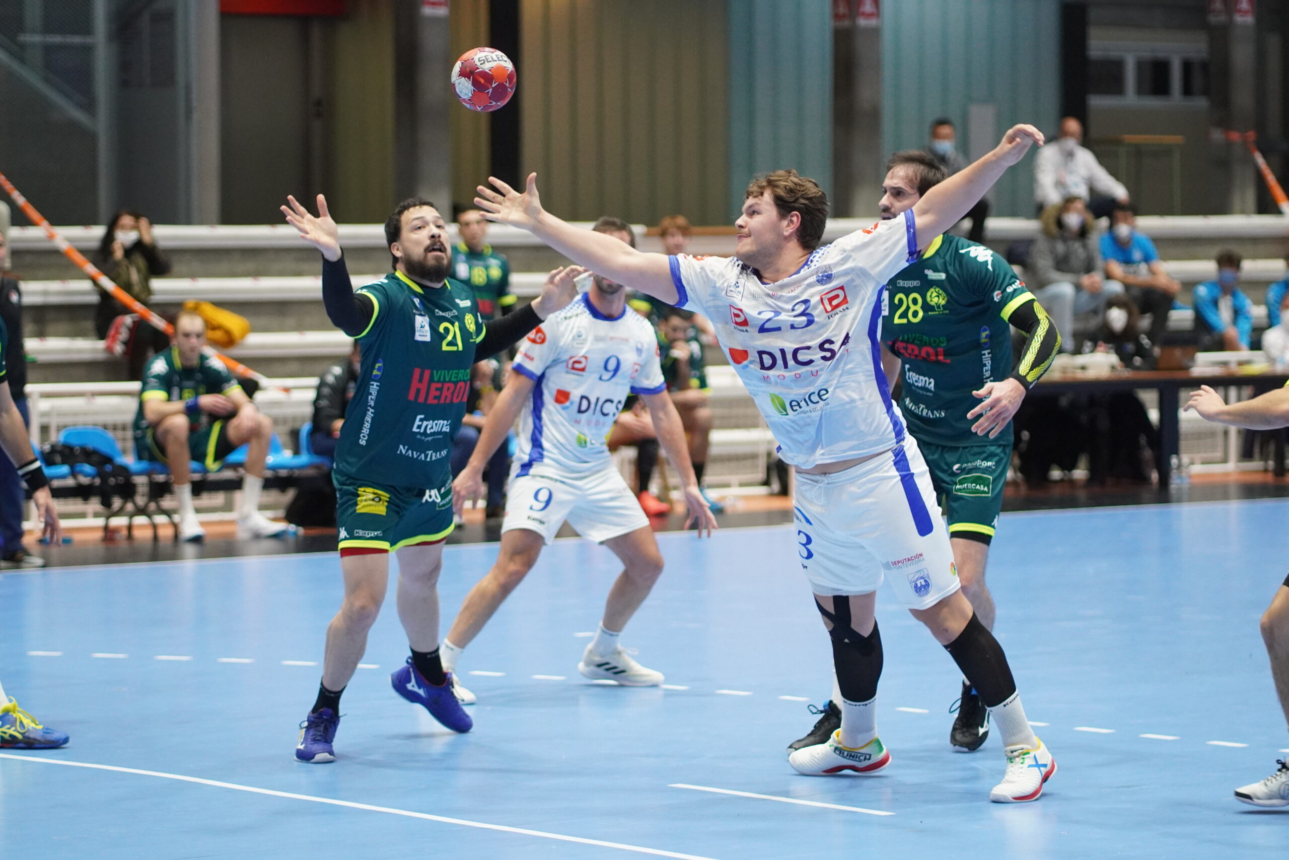 Cisne - Nava / Foto: Fernando Lago